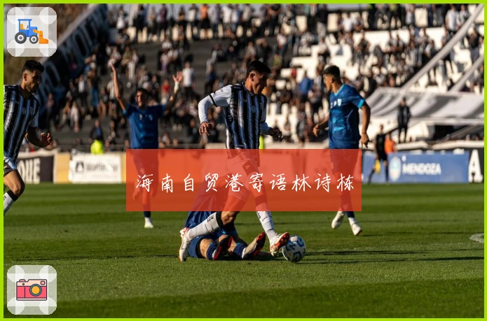 海南自贸港寄语林诗栋