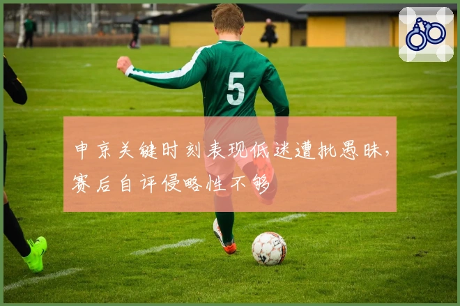 申京关键时刻表现低迷遭批愚昧，赛后自评侵略性不够